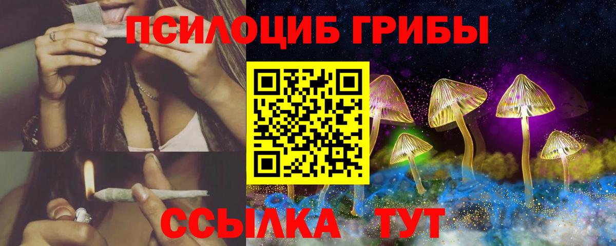 Ивантеевка  Псилоцибиновые грибы ЛСД  Вход с VPN  Псилоцибиновые грибы ЛСД 
